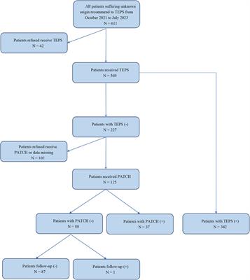 Wearable Patch ECG monitors and transesophageal electrophysiological study for diagnosing palpitations of unknown origin